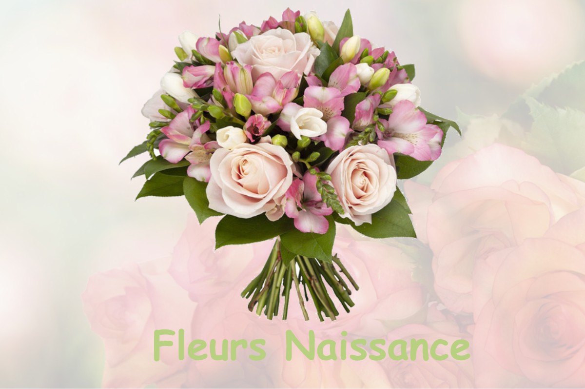 fleurs naissance PANNECIERES